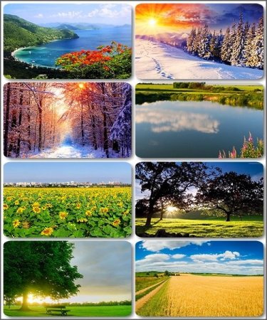 �������� ������� - 190 Full HD ���� �����