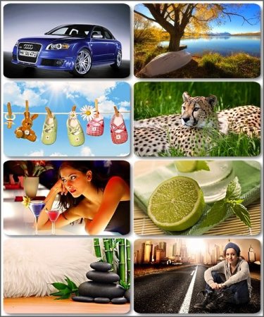 ���� ������ ������ - 305 Full HD ��������