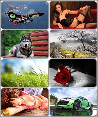 HD ���� ��� �������� ����� - ������� �� 245 ��������