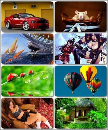 ������������ ���� - 260 �������� ������ ������