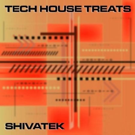 VA - Tech House Treats 8 (2013) FLAC