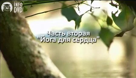 ���� ��� ��������-����������� ������ � ���������� ������������ (2012) ���������