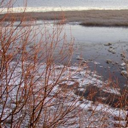 Hannu - Harhailua (2009) FLAC (tracks)