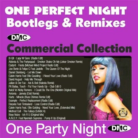 One Party Perfect Night - Promo (2013)