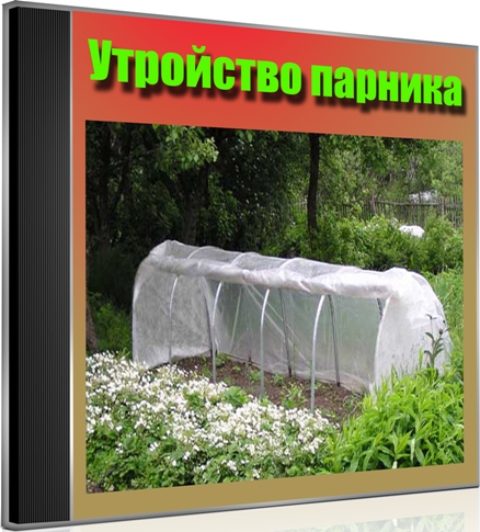 ��������� ������� (2013) DVDRip