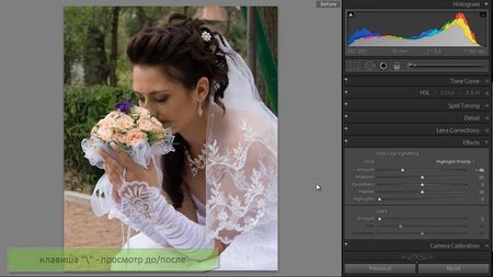 ��������� Lightroom 2-5 �� ������� (2013, RUS)