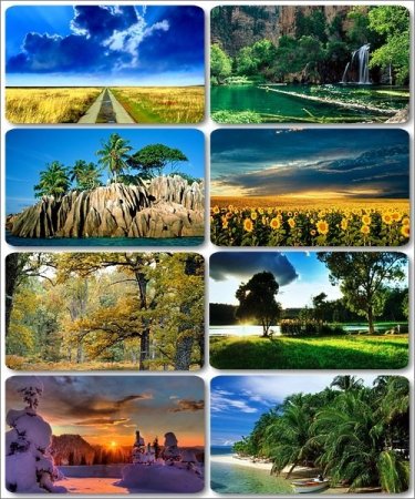 ������� � ������������ ������ ������� - 445 �����