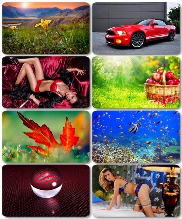 ������� ����� - ��������� Mix ��������