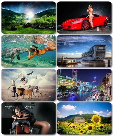 ���� ��� �������� ����� - 175 ������ �������� ��������