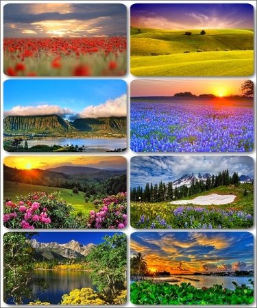 HD ���� ������� - 145 ���� ���������� ��������