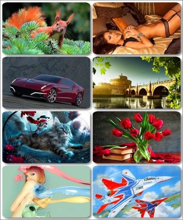 HD ���� �������� ����� - 240 ������ ��������