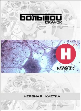 ����� 2.0. ������� ������. ������� ������ (2013) SATRip