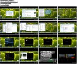 ��� ��������� ��������� �� ������������ ������������������ � ����� (2013)