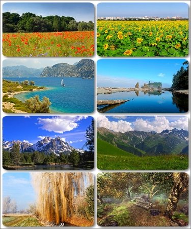 ���� � ��������� ��������� - 170 �������� � ��������