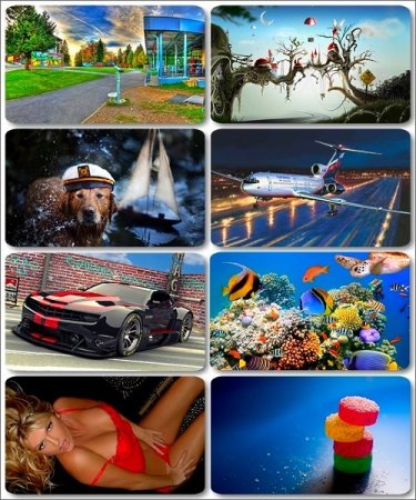 ������� ����� ����� ��� �������� ����� - 250 HD ��������