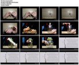 �������� ������ ������ (2013)