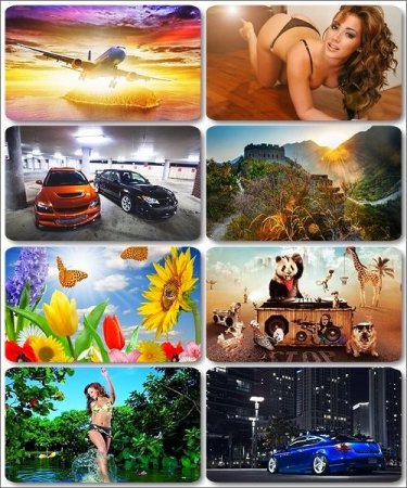 HD ���� ��� �������� ����� - 135 �������� ������ ������