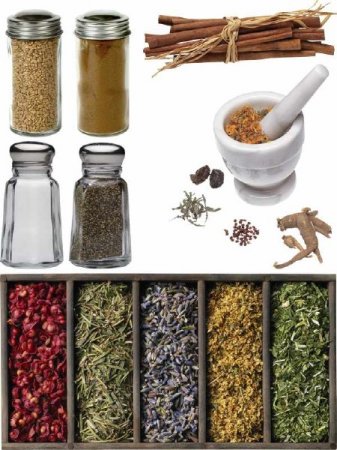 ������ (������, �����, �������, ����, ������ � �.�)- �������� �������� �����������