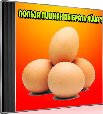 ������ ���, ��� ������� ���� (2013) DVDRip