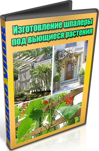 ������������ ������� ��� �������� �������� (2012) DVDRip