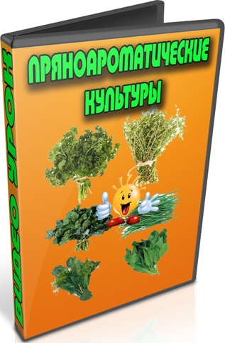 ������������������ �������� (2013) DVDRip