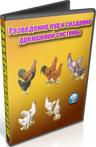 ���������� ��� � �������� ��������� ������� (2012) DVDRip