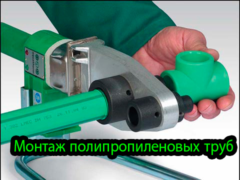 ������ ���������������� ���� (2012) DVDRip