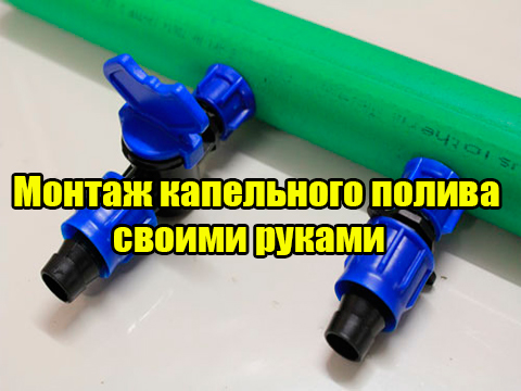 ������ ���������� ������ ������ ������ (2012) DVDRip