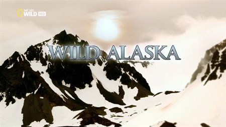 ����� ������� ������ / Wild Alaska (2011) HDTV 1080i