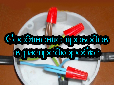 ���������� �������� � �������������� (2012) DVDRip