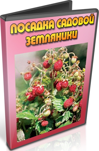 ������� ������� ��������� (2012) DVDRip