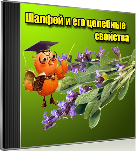 ������ � ��� �������� �������� (2013) DVDRip