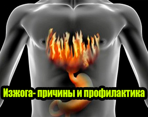 ������- ������� � ������������ (2012) DVDRip