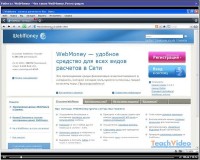    Webmoney (2009) SATRip