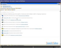 �������� ��������� �� Webmoney (2009) SATRip