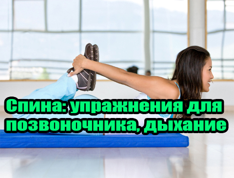 �����: ���������� ��� ������������, ������� (2012) DVDRip