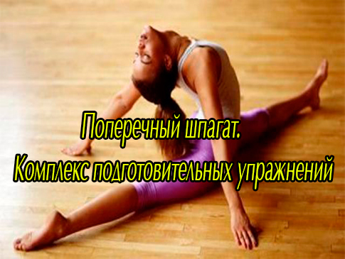 ���������� ������. �������� ���������������� ���������� (2013) DVDRip