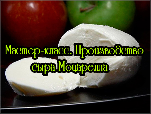 ������-�����. ������������ ���� ��������� (2013) DVDRip