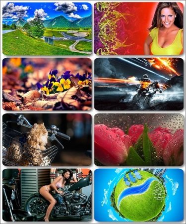 ���� ������ ������ - 290 HQ �������� ��������