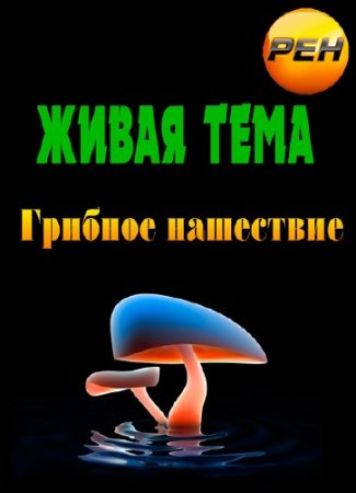 ����� ���� - ������� ��������� (06.05.2013) SATRip