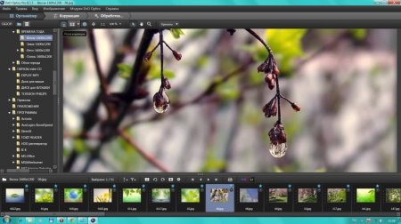 DxO Optics Pro 8.1.5 Build 294 Elite Portable by Valx (x32/x64)