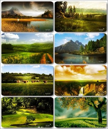 ���� � ��������� ��������� - 170 HQ �������� �������