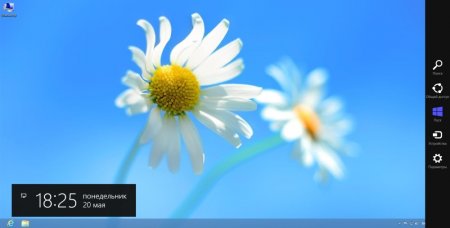 Windows 8 x86/x64 Professional v.20.05.2013 by Romeo1994 (2013/RUS)