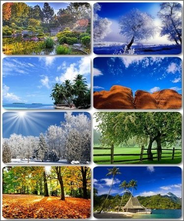 ���� � ���� ������� - 95 �������� ��������