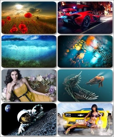 ���� ��� �������� ����� - 230 �������� �� ����� ����