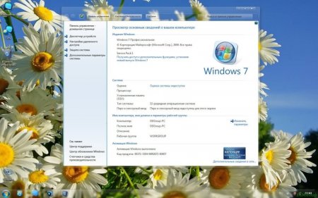 Windows 7 SP1 Professional x86 v.26.05 DDGroup (2013/RUS)