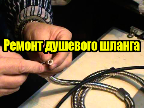 ������ �������� ������ (2012) DVDRip