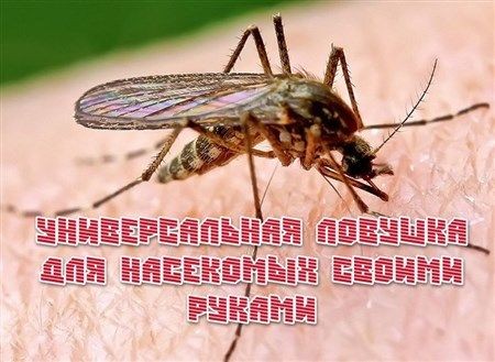 ������������� ������� ��� ��������� ������ ������ (2013)