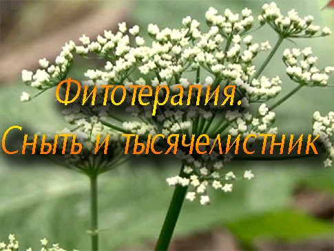 �����������. ����� � ������������� (2012) DVDRip