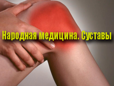 �������� ��������. ������� (2012) DVDRip